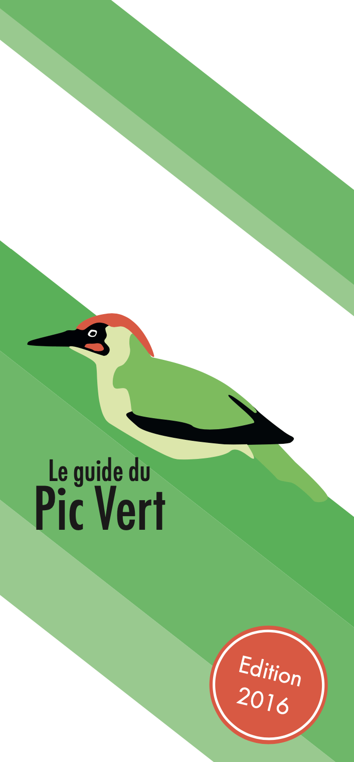 Guide du Pic Vert Julien Rondez